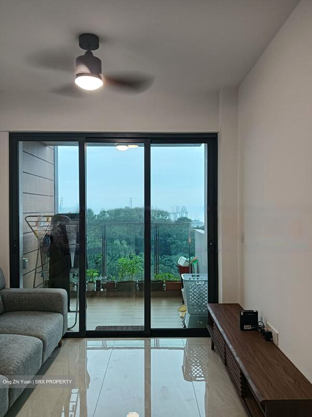 Normanton Park (D5), Apartment #455080191